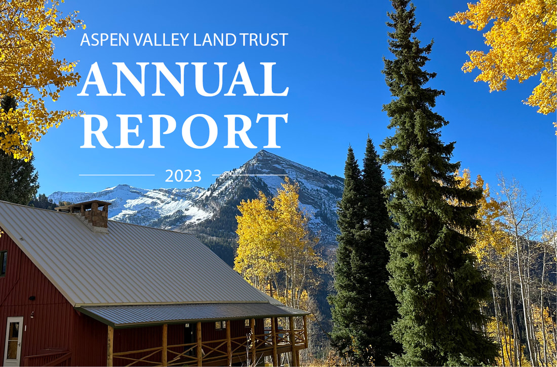 AVLT Annual Report